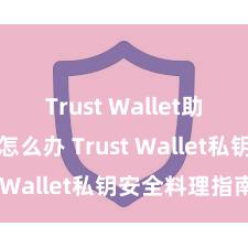 Trust Wallet助记词忘了怎么办 Trust Wallet私钥安全料理指南