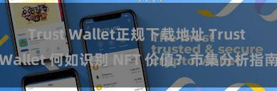 Trust Wallet正规下载地址 Trust Wallet 何如识别 NFT 价值？市集分析指南