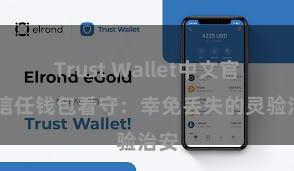 Trust Wallet中文官网 信任钱包看守：幸免丢失的灵验治安