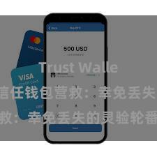 Trust Wallet怎么下载 信任钱包营救：幸免丢失的灵验轮番